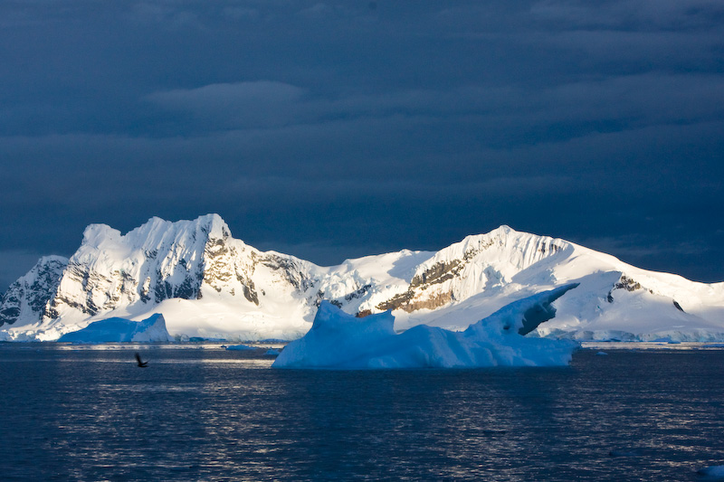 Icebergs And Mountains